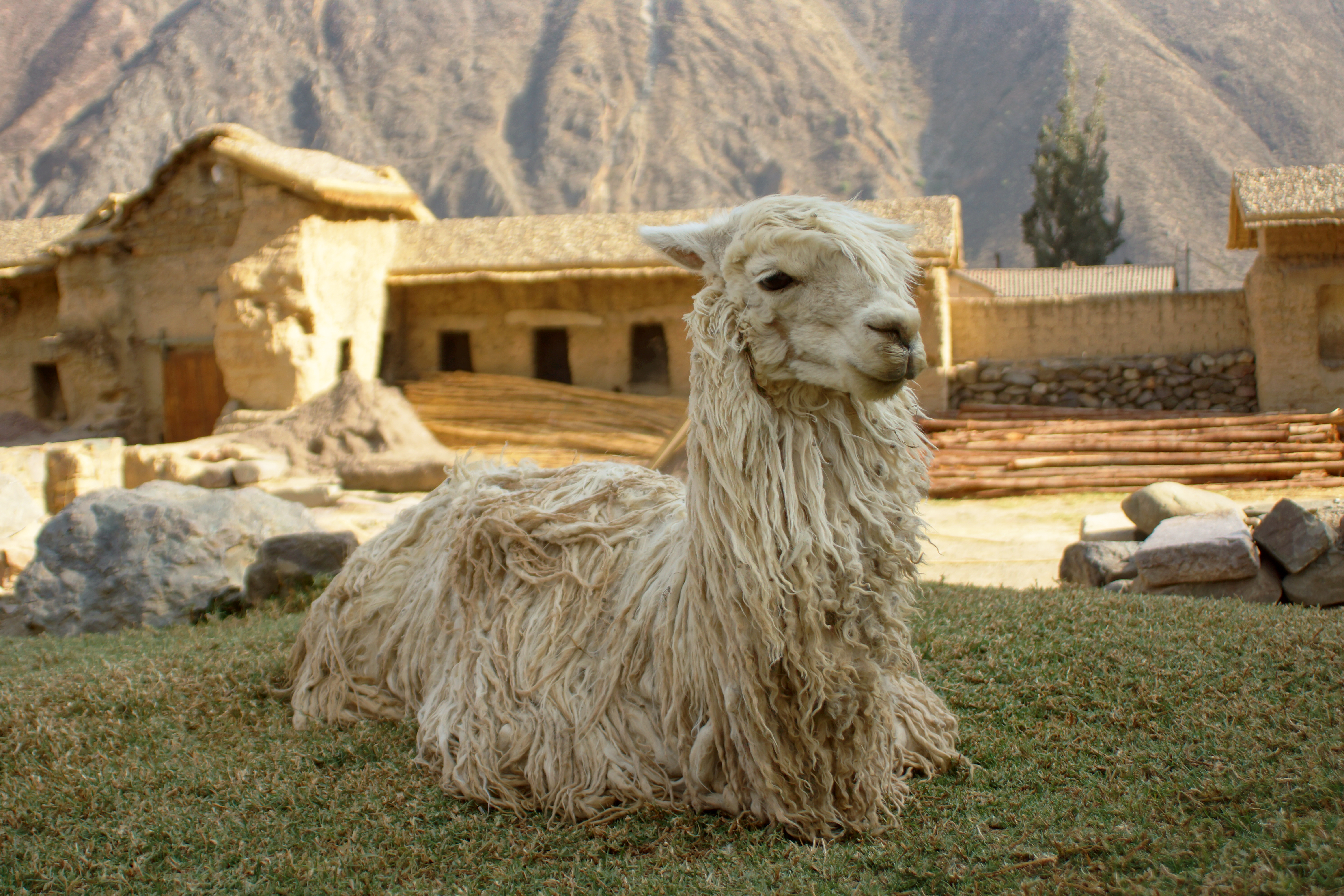 Ollantaytambo